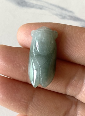 G21天然翡翠玉蝉知了吊坠 油青绿色玉石挂件玉项坠 小孩儿童学生