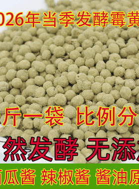 霉豆商丘西瓜酱辣椒酱酱油捂黄豆
