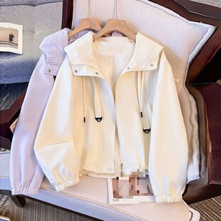 紫色冲锋衣外套女小个子超火春秋新款 今年流行短休闲春装