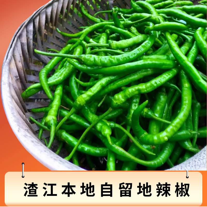 衡阳本地辣椒软皮辣椒