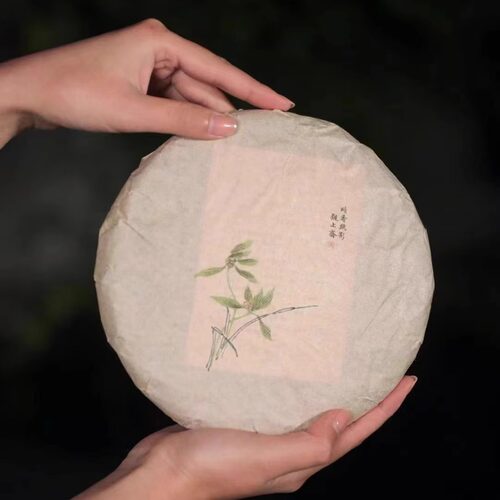 观止斋《暗香疏影》2017年普洱茶