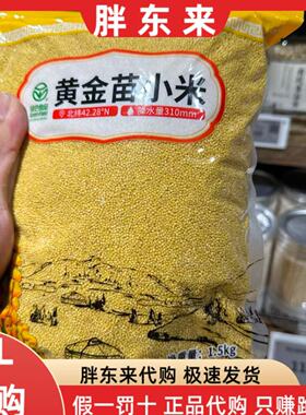 胖东来代购黄金苗小米内蒙古赤峰金苗谷子一级小米1.5kg袋装正品