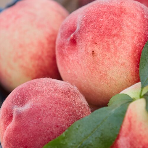 北京水蜜桃平谷大桃新鲜水果甜软蜜多汁早久保晚蜜桃子礼盒装包邮