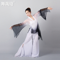 Classical dance dress women's body charm elegant Training Dress yarn dress modern dance straight tube mesh trouser skirt stage dress performance dress