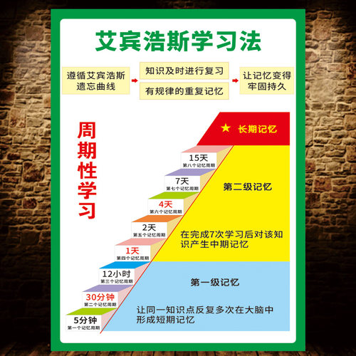 艾宾浩斯遗忘曲线学校正能量树小中高考贴励志纸班级文化布置墙贴