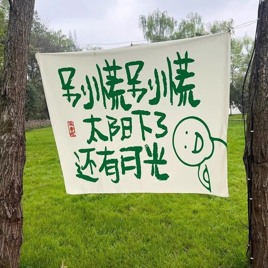 户外露营野餐创意文字挂布营地装饰氛围布趣味表情背景布大尺寸布,户外/登山/野营/旅行用品,露营氛围旗,淘宝优惠券,粉丝福利购,淘宝优惠卷