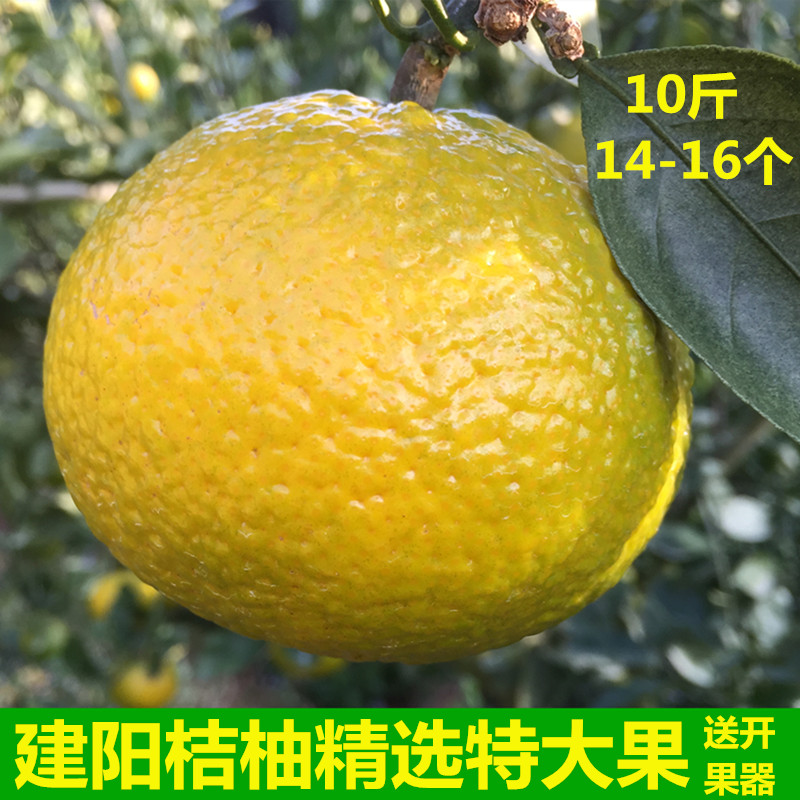 建阳甜橘柚新鲜特大果礼盒装