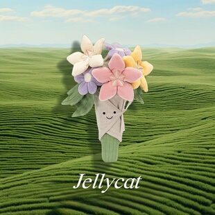 韩国直邮Jellycat手捧花玩偶花趣味毛绒玩具娃娃公仔生日礼物花束