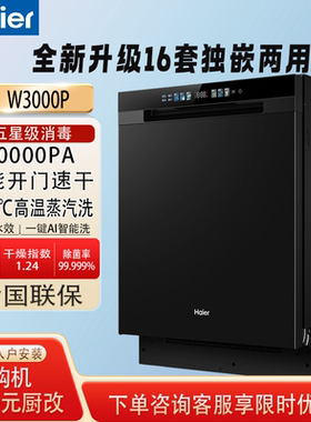 Haier/海尔 EYBW16586GHU1大16套容量双80℃蒸汽消杀W3000P