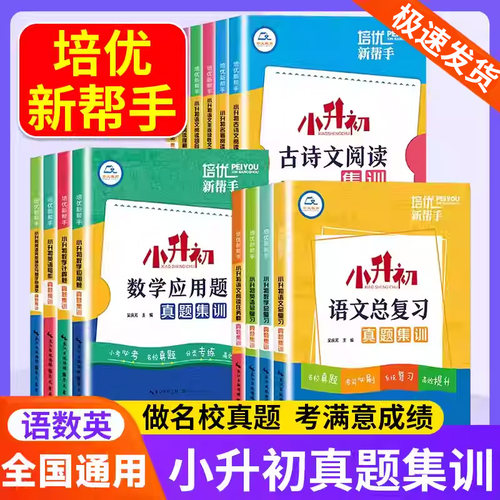 2026小升初总复习初三考前必刷题
