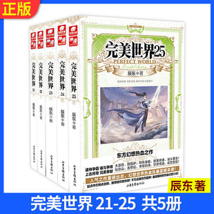 幻想热血 灵域大主宰同类书籍 辰东著 完美世界 套装 天使文化玄幻小说畅销书籍 现货正版 共5册 全5册