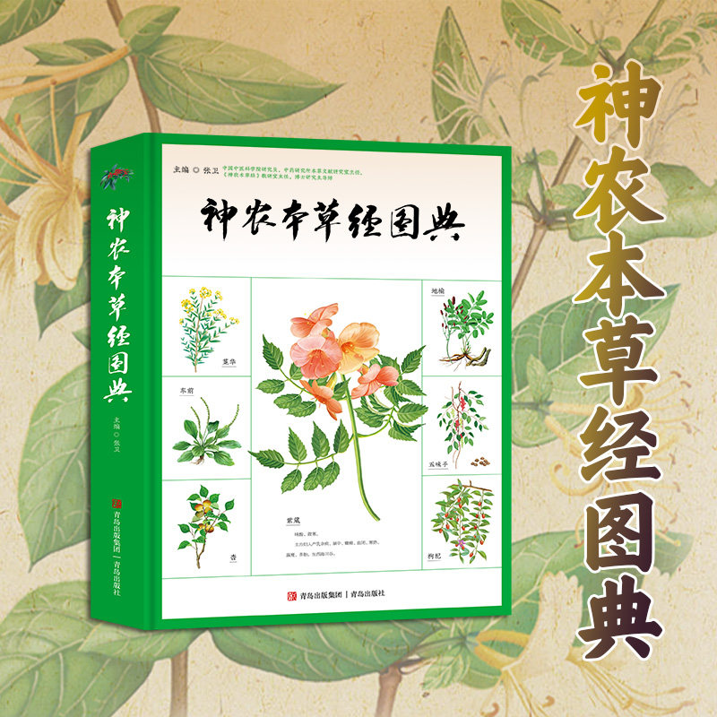 神农本草经图典中药本草图鉴精粹