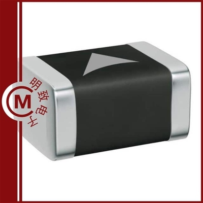 B72530T6400K062/B72530T6250K062/B72530T6500K 62