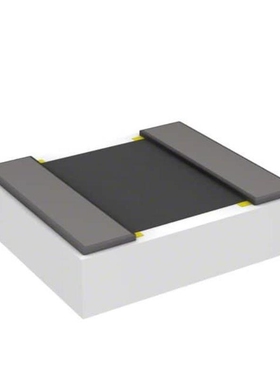 C1A131350R0G4A2/C1A1P-489/C1A1P