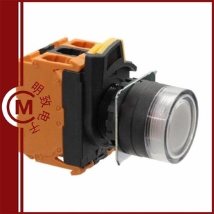 A22NL G202 TWA 规格 BGA