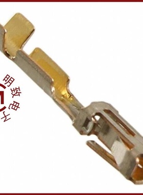 167024-2/1670248/1670293