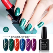 Sơn móng tay 5d Cat Eye Gel Set Blu-ray Cat Eye Nail 2019 New Wine Red Nail Ba Lan Keo hoàn thành - Sơn móng tay / Móng tay và móng chân