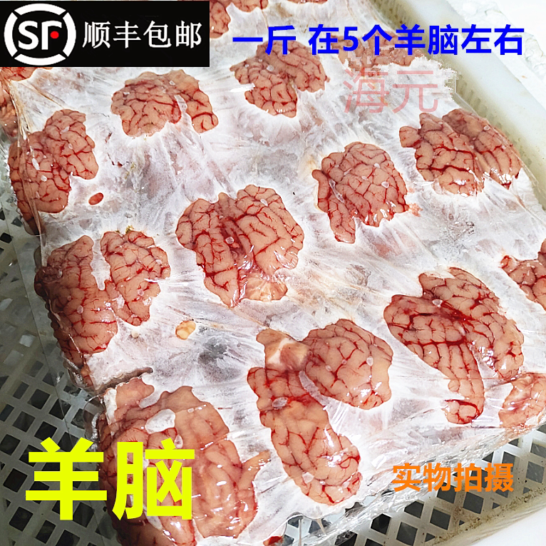 新鲜羊脑子5斤 羊脑花新鲜冷冻羊脑髓羊上脑羊杂火锅清真商用20斤