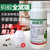 灭蚂蚁药厨房家用一窝全窝端神器室内外非无毒除杀红白蚂蚁净巢灭
