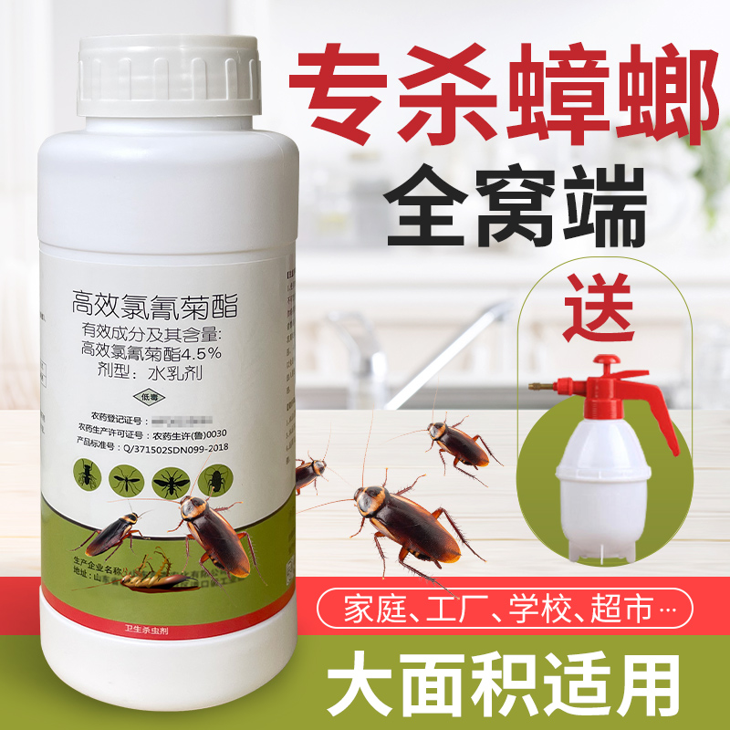 灭蟑螂药全窝端家用宿舍厨房神器