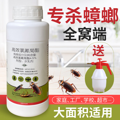 灭蟑螂药全窝端家用宿舍厨房神器