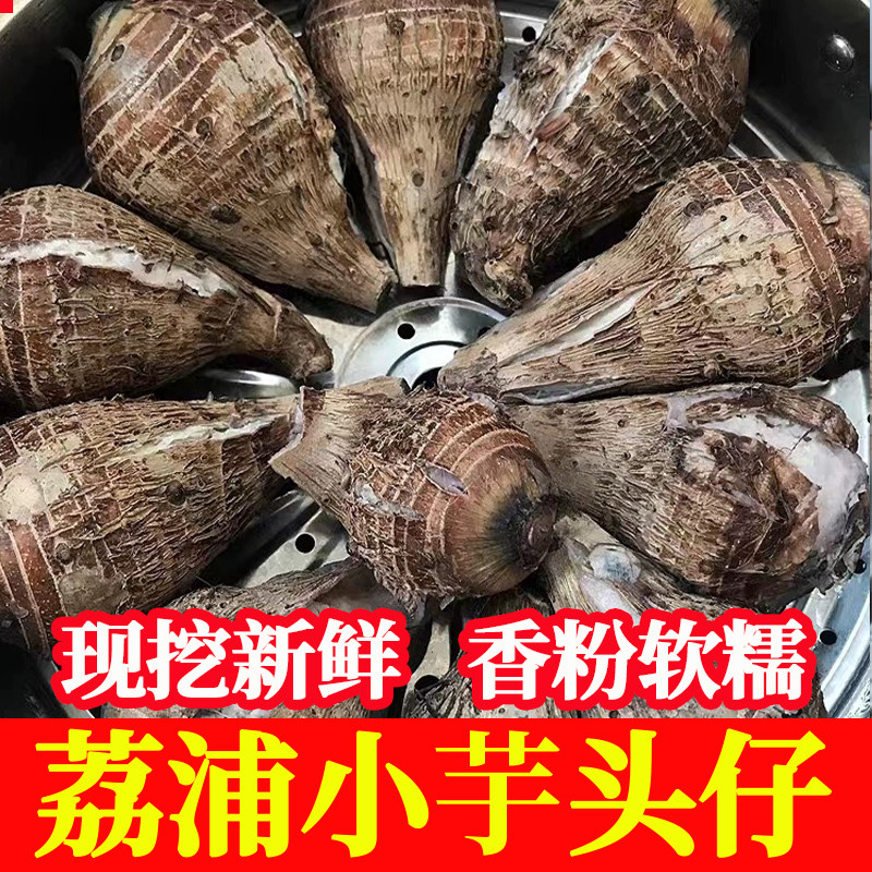 正宗广西荔浦小芋头仔小香芋现挖新鲜粉糯香槟榔芋奶芋5斤包邮