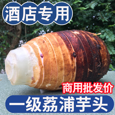 【商用批发价】正宗荔浦大芋头