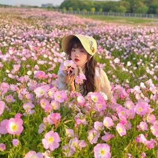 美丽月见草花籽四季播种开花多年生耐寒花种子籽庭院阳台室外花卉
