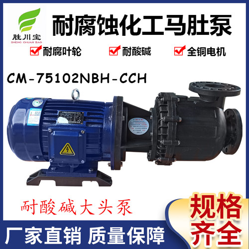 胜川宝7.5KW大头泵马肚泵耐酸碱