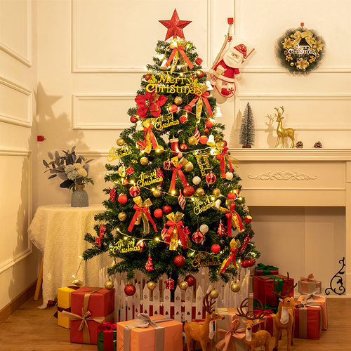 2025新款圣诞树家用套餐加密diy发光大型摆件感ins圣诞节装饰