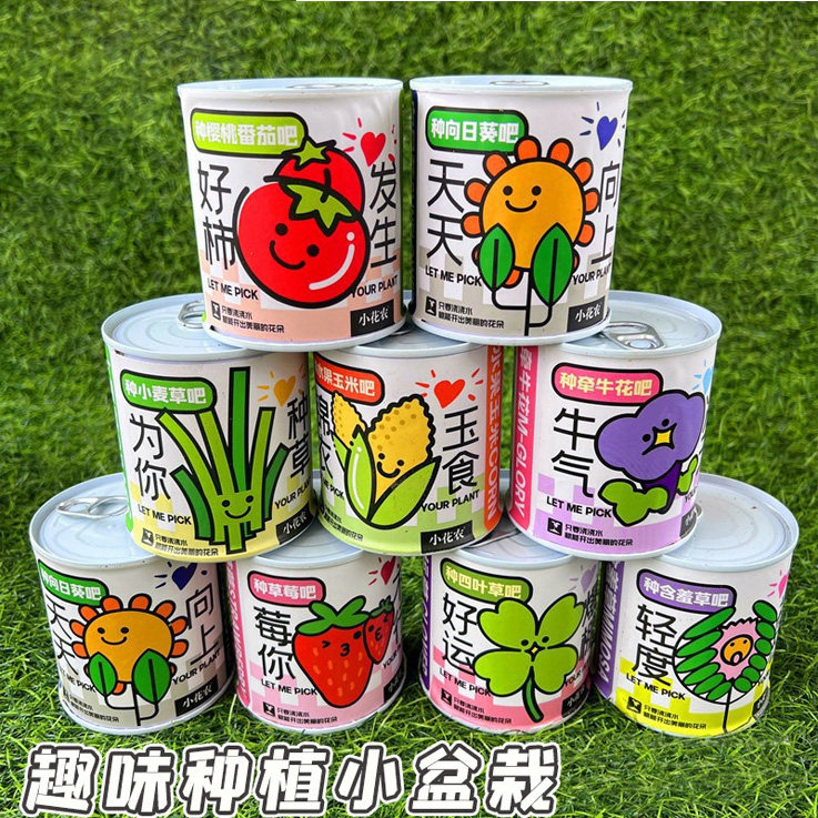 趣味易拉罐水果花草盆栽批发种植学生桌面摆件罐头栽培盆景小绿植,鲜花速递/花卉仿真/绿植园艺,大型绿植/成品组合盆栽,淘宝优惠券,粉丝福利购,淘宝优惠卷