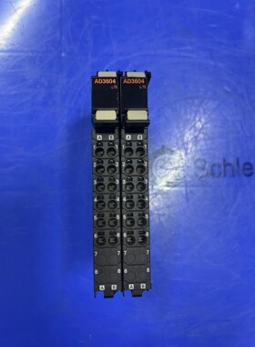 模块 NX-AD3604
