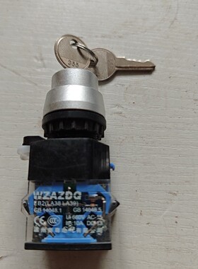 温州奥尊LA38 LA39钥匙旋钮开关两个,660V AC1