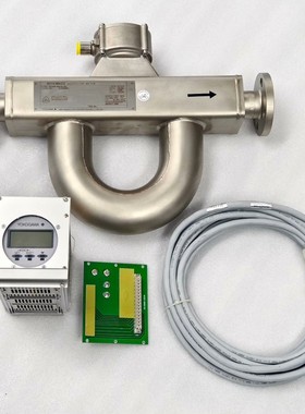 gs质量流量计RCCS36-02A1SL/NS1