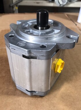 丹佛斯齿轮泵SNP2NN/017RN06GA 仅装机未使用