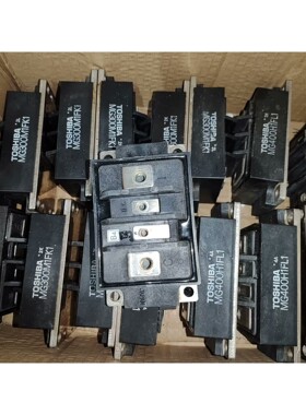 MG300M1FK1,MG400H1FL1