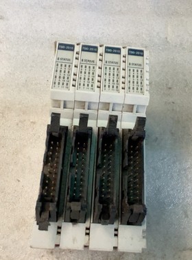 丹纳赫TSIO-2010数字输入模块,四片一组,16路数字输