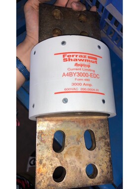 A4BY3000-EDC 3000Amp 600VAC法国罗