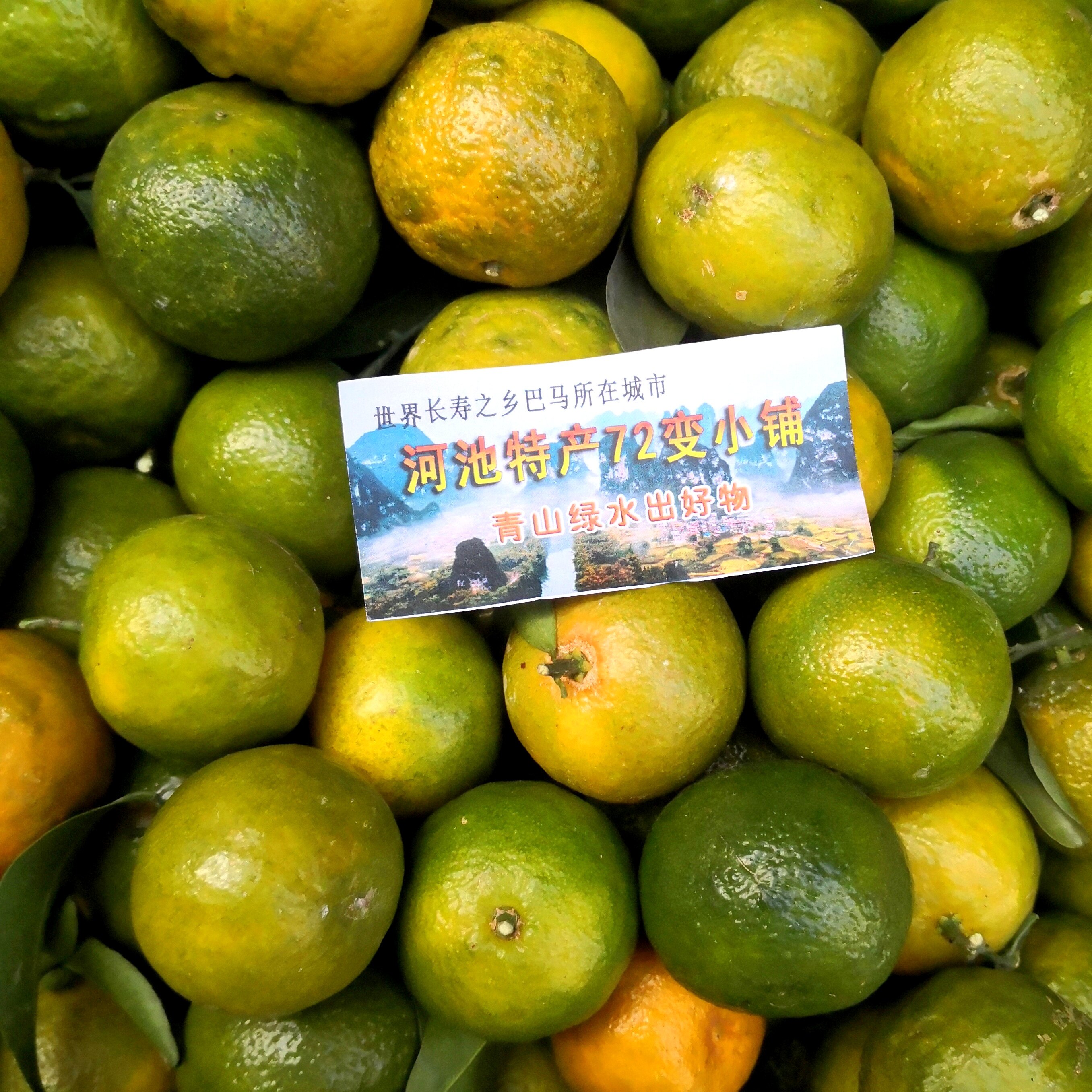 世界寿乡纯甜青龙柑橘巴马河池绿水青山特产地直销1斤　5斤包邮