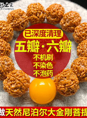 尼泊尔爆肉五六瓣大金刚菩提子