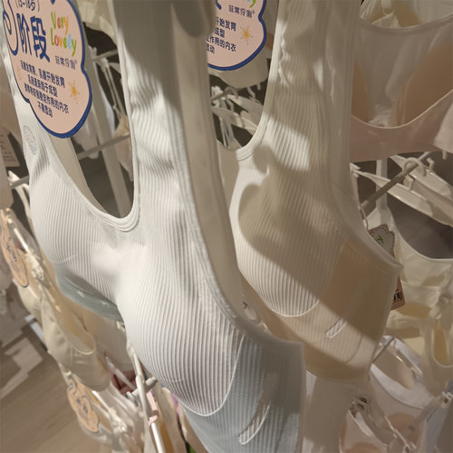 正品菲常伶俐88353少女发育起三阶段内衣女小胸无钢圈文胸罩薄