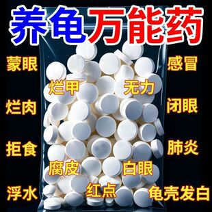 护龟片乌龟消毒片专治腐皮烂甲白眼病厌食净化水质杀菌宠物消毒液