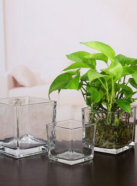 简约方形玻璃花瓶圆形水培器皿水养绿萝插花容器客厅家居装饰摆件