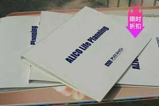 包邮日单LIHIT LAB二十层A4纸文件夹插页办公文件袋资料袋文档夹