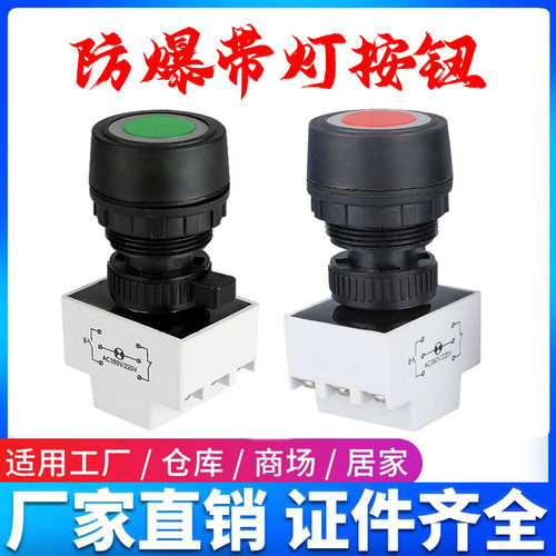 BA8030防爆带灯按钮 30mm按钮开关自复位 220V380V红绿防腐指示灯