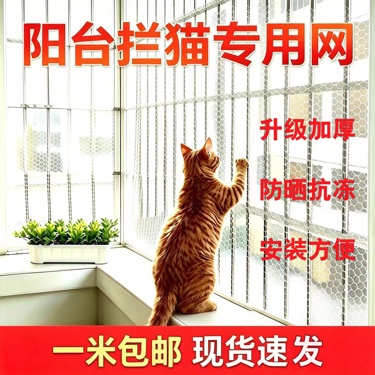 加厚塑料阳台防护高空防坠拦猫网