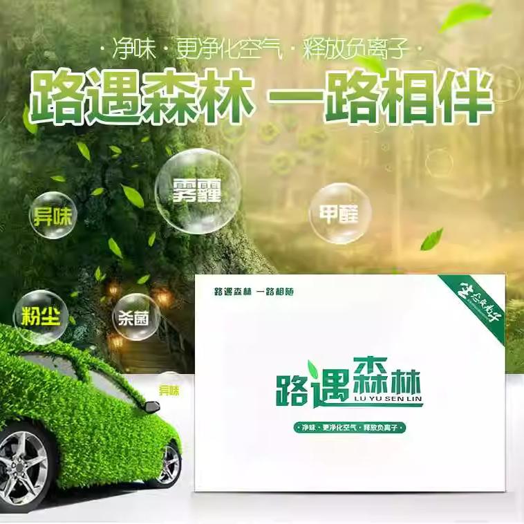 路遇森林净味魔盒二合一香膏新车新房除甲醛祛异味除烟味净化空气