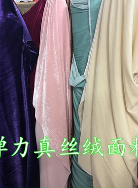 高档真丝绒弹力服装面料