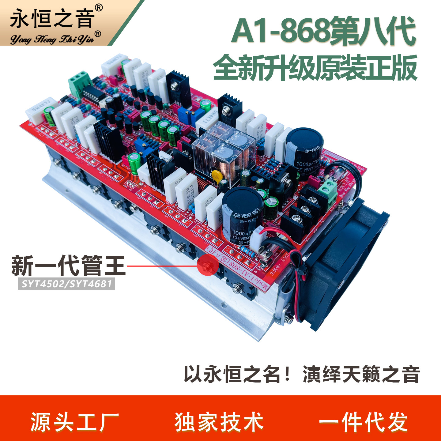 永恒之音A1第8代原装进口hifi发烧级大功率后级功放板音响成品板