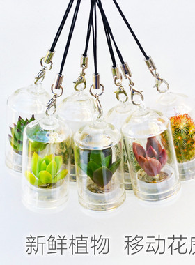 创意小盆栽试管绿色植物迷你多肉钥匙扣挂件仙人掌小礼品送人礼物